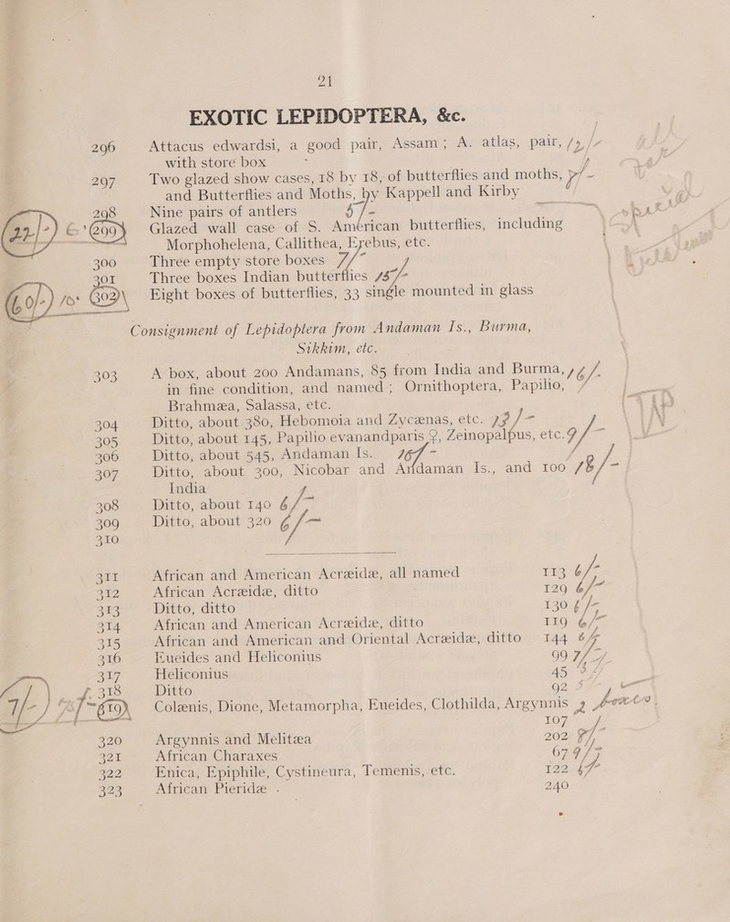 EXOTIC LEPIDOPTERA, &amp;c. with store box and Butterflies and Moths, by Kappell and Kirby Nine pairs of antlers we Glazed wall case of S. Américan butterflies, including Morphohelena, Callithea, Erebus, etc. Three empty store boxes 7/~ Three boxes Indian butterflies 7S/ Eight boxes of butterflies, 33 a mounted in glass Sikkim, etc. in fine condition, and named; Ornithoptera, Papilio, Brahmeza, Salassa, etc. Ditto, about 380, Hebomoia and Zycenas, etc. ag ft Ditto, about 545, Andaman Is. 767 - India : Ditto, about 140 if Ditto, about 320 6¢/-  African and American Acreide, all named TES G African Acreide, ditto 7 129 &amp;, Ditto, ditto 130 ¢/- African and American Acreide, ditto So ae oe African and American and Oriental Acreide, ditto 144 46% Eueides and Heliconius 99 7/_-/ Heliconius 45 3 4 Ditto 2 107 Argynnis and Melitea 2027 F7], . ek African Charaxes CORRES Enica, Epiphile, Cystineura, Temenis, etc. T2204 Atvican- Pieridz’ - 240