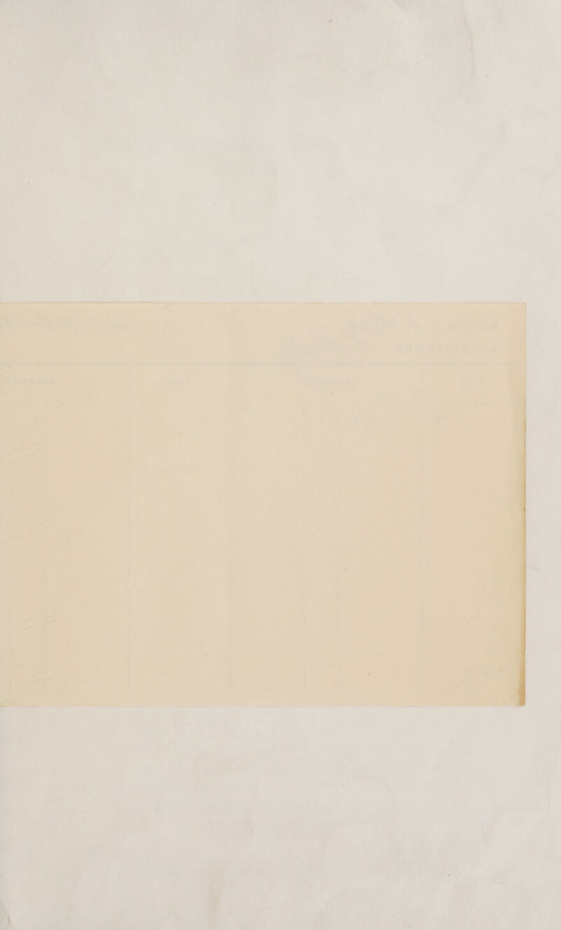 a Se Pe a pa Dayle ae 1- =e ihe mA Sky > . 