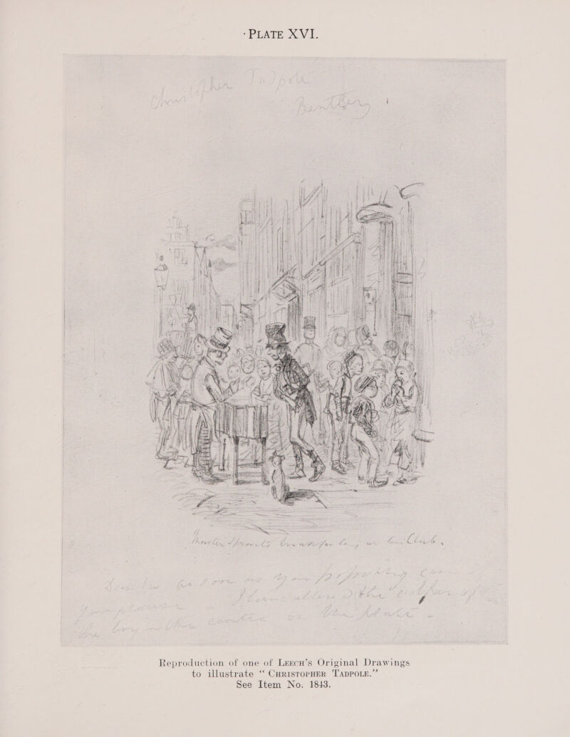 ip Seicsnstostersees SOIR Neti -PLATE XVI.     