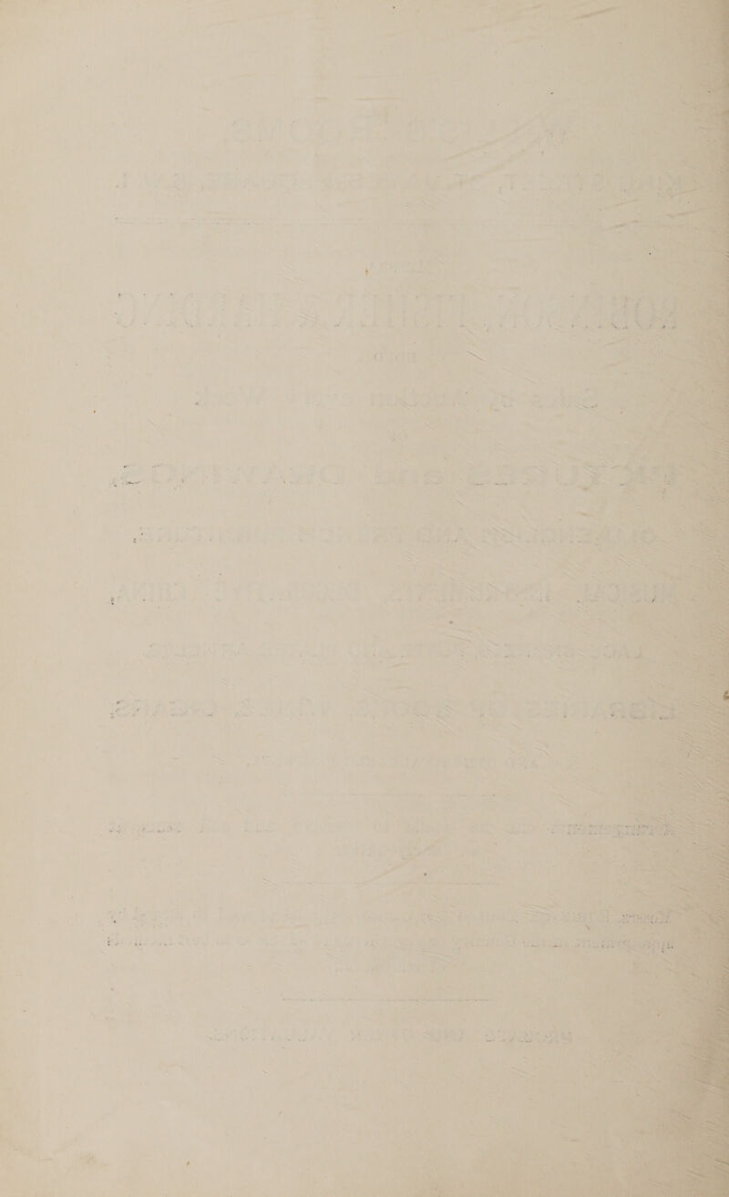    > a eee * ; bh * pee =, pe — 3 a tee H~ y « fi rs 4) S F - . +  f : . wi Fin o paws e ; co i AN A“ : aK ” ~ « ayy net =f aan ice snes, Bie - oo > mS ee ~ ~< r . a &amp; .s x > ’ ~ - ‘ A De ~ > i > =} : ~— * ® peal Neu lay ~ * oe . ct <a e * y a, 1 ae ~ os, | , = > ; n - 3s 2 . ; ; Pf } oy : ie: + - % an ae rm bet at _o ou BS oF Pe he ys ines = oe oe Kl 2 ae sat Sema Me              % e “ ~~ area: ' 5 se y : # x = d be = ‘ si ri ” . ‘ a J ae ond z . i ‘ < Bate (od ~~ ah ; = Rte: &amp; © PY es ae P ee 5 2 ‘ ' w 4 “ - . Ly - Fe r ’ AY ” — A a t = 1: * : SS 7 pate e 4 = ris ih aca = ) c ~ PS « ‘ s y ¢ a a at cA gare ote. a ae > r de - * = © mart eg ee a ’ ¥ f % * UF < mat or > ——~ * ~ % te - . a ~ ~ i ae 5 . ‘ ‘ tad - We i Go! 97 ; . % i 5 ~ Ne Ee 4 : ¥ t Py : Fe ~ a give ; ver NS ¥ » - ou ° —< Re il — S J ~ se - : o ‘ aAt raw neh. givike re ~ r ~~“ . a = the A s a ata Ny oi &amp; a % wk FE De SE Ne ee is 3 J 4) * ‘ . ~~ ~— ! Pr : > ,. , S Cael Dageramy ‘ ’  - 1  