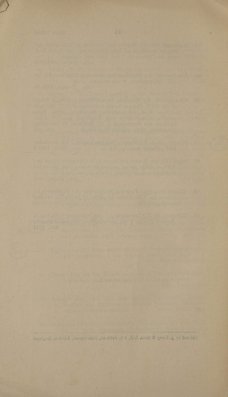      Pte ; in hae svn Sia sp! es:            vu tee Gee a i RNY Yue: bly oy etna “satel Ro thes va ae ee Wed EN fiw &amp; aoe ee i wnt Rs Wo aap nn a delyt Aah 3 DOES QUOTE REL Variene aalee/- | tale 2 nee | i aC cS ” ie iis) ae, ery a h a So a ab Shot etn eb &amp; . PEE 6 Wy &gt; uy ; oh at ohh | 5 bee iy cary vit in? sfinaree byl fia’, te dart &amp; Veh 4 Ry, ; ticaterpe hit etadt criahatiedh fet, bie iy i} a +f Ay Velie, © : iS | ay \ iy ‘ : ; crite ,. va eo r spit o*¥ ns ey tis oe es ss ms POE as BOR alan Se a ieee TT Ne ORs, Oe ony im eh « mf a8 , | re : a‘s ‘3 grep y ~ fs ad aor 4 Fh aoe: : Hi Me be A MEER ATS ORES Pa te LT - ENT ANT A 7 . ” , i f , : _ ’ : es ~ 5 : “ ad t F 4 a tees Ly sie? aad { ¢ f . a a &gt; Aey Sas} aaa ns te it ea th Pi waste. Of ( es, oe a eae i NOS et mo s ; ‘ ok A ie roe ee beh o * fi, AVISL S73 yy CL OE PPL Led ie tt Zz ‘ f ‘ Ht we . * + é a i ' r 4 ' i ; 5 yt Li, eee ew S ' tj ite A) y my wy pe ch petes oA Wey yi adv tiver 2 a t ae | bh Ly bed oo ae ; ft a’ ; é ‘ % Attaed oe 4 ‘ ts x &lt; { A i AT Tiwi s ‘ yt Nat i Gal) ve} (eit ‘ , f . ,* ‘ pecs ihe 5 : 5 ; . , ; wo So 7 a rt Pres pth oo bh a F bs ’ dame iT, ‘- &gt; ey ‘ i AT Wores ‘ ee z ¢ abe Shae ree La Mae Ge is Pays OS Gus Tiss + hw i m4 bbe) ari Ls riie4 i Bia i = + i 4 ‘ ’ r : M y bs. 1 iy he ee ae 4 Lay , ma iP pa. = Py eee. S: : b 4 Cee OL Ce ee AT (onnesty Lavag Cay OA rei ——=-— af, “ ‘ Nes N Se at ae} ¥ Pap occe eh i 7 * L - . vex tod ge : ie : a ' 4 j be t : . it? Bins ae as if mat @ if ,. in ioe an ; q \ + : f 3 ie A » Ae 7 ' 17 ¥ ‘ i, oe ee lay = Na te Lipa cL A Poe Pg a | &lt; : , . é * a ere) . ‘ » . , . \ ie a de : ' : ‘ Vayt Je ees ee) ao F PT ant a € i “ a - ) 7 fs ‘ its é ; i AI iv } } x im ~ ve Ae Ko se Skit ook ; , i er We 4 Aad &amp; Vuits 1 hi Pa tik Cam MTN TS y gehen are . Cet eS OA te ee aCe eS , . N - ‘ J a ¥ 7 i i eel tw . ae ‘4 i , Lagi . ws vy ug Neat he aS aa SHAG. | aie Ch: alogiriy OWA. ste 6o7tRs Ale Waste ee . ial 7 ae 7 © f ¢ ae ¢ Aue J { ek ea 4 et ty yd) oh 4 . a &gt; 7 . Ase r 4% tT Pa AAP TAs ) pale TGt 1 ee ans | yee yea 2aihi h Teh Pak sieht fs | hie i  _ for ory gf PNG I lg a “ean ' tT Q | Are , : ‘ ’ 9 er , “7 A od - ar AB 5 ‘ ee ; ‘ Pa , us ve gate (% otal ahe iis) ‘eh ® , “7 bank “alee © payon ee ‘ 7 es 8 4 LEG athe f y tie 1k io, Vrs ‘ s ara Pe as, . re ' ee Ba , } t i . ¢ ¢ : : é $ ‘ Ais Ie j sd ? . dn * i iy i ive ? Voy | ee ae cs Pemed ? ‘oan ed ’ ' * re eh on } q N 7 - ‘ = af if. mt : ‘ Mi 1 . rr (@aly ; hl ea , &gt;| » \ 54 ; ' ‘ £ ‘ an rt es 4 2 7 i 2 ‘2 , ' ‘ hy i P Rear oe ane id 7 eer oe went re