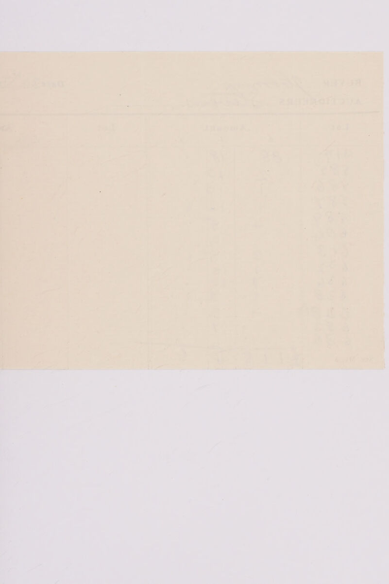 a = ‘eee : = : a eS ir a oe oa “Te ek oe ' a , een. toe oe q a . aye ne [2nas il Pa — ae \ cai AIT QUA   c - ‘ al © or ee ee tei = a os « ' — wets < pee mah are et