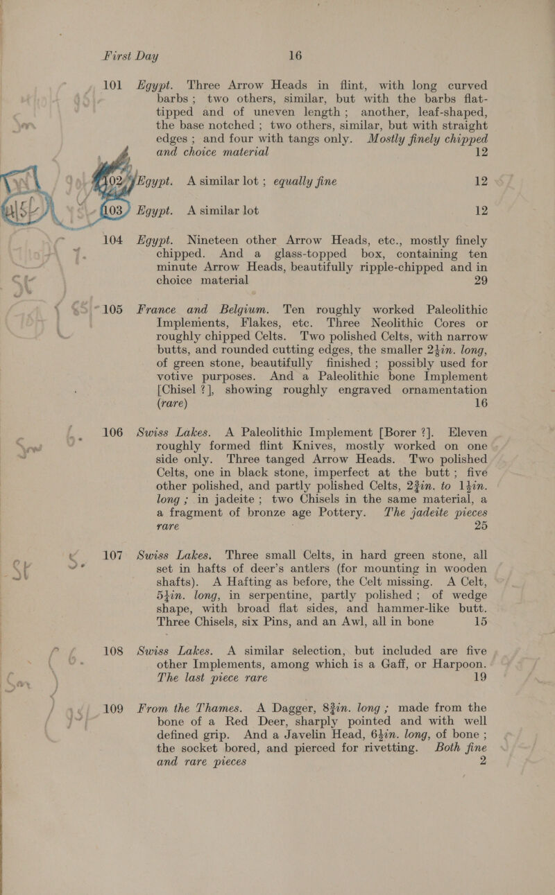 101 Egypt. Three Arrow Heads in flint, with long curved barbs; two others, similar, but with the barbs flat- tipped and of uneven length; another, leaf-shaped, the base notched ; two others, similar, but with straight edges ; and four with tangs only. Mostly finely chipped and choice material 12 , Hgypt. A similar lot ; equally fine 12  éL A 3/ Egypt. A similar lot 12 104 Egypt. Nineteen other Arrow Heads, etc., mostly finely chipped. And a_ glass-topped box, containing ten minute Arrow Heads, beautifully ripple-chipped and in choice material 29 “105 France and Belgium. Ten roughly worked Paleolithic Implements, Flakes, etc. Three Neolithic Cores or roughly chipped Celts. Two polished Celts, with narrow butts, and rounded cutting edges, the smaller 24in. long, of green stone, beautifully finished ; possibly used for votive purposes. And a Paleolithic bone Implement [Chisel ?], showing roughly engraved ornamentation (rare) 16 106 Swiss Lakes. A Paleolithic Implement [Borer 7]. Eleven roughly formed flint Knives, mostly worked on one side only. Three tanged Arrow Heads. Two polished Celts, one in black stone, imperfect at the butt; five other polished, and partly polished Celts, 221m. to ldin. long ; in jadeite ; two Chisels in the same material, a a fragment of bronze age Pottery. The jadeite pieces rare 25 kK 107 Swiss Lakes, Three small Celts, in hard green stone, all NG wei set in hafts of deer’s antlers (for mounting in wooden a shafts). A Hafting as before, the Celt missing. &lt;A Celt, 5iin. long, in serpentine, partly polished; of wedge shape, with broad flat sides, and hammer-like butt. Three Chisels, six Pins, and an Awl, all in bone 15 ae 108 Swiss Lakes. A similar selection, but included are five ‘ other Implements, among which is a Gaff, or Harpoon. The last piece rare 19 109 From the Thames. A Dagger, 83in. long; made from the ne bone of a Red Deer, sharply pointed and with well : | defined grip. And a Javelin Head, 64in. long, of bone ; the socket bored, and pierced for rivetting. Both fine and rare ‘pieces 2 