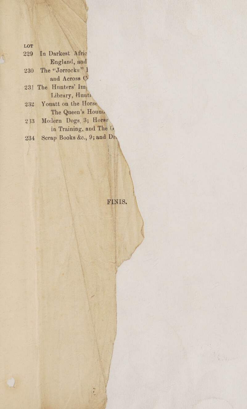 5.96) ‘a et Oe wi iY SP Nes; a : 4, WW ea eet LOT | ke 229 In Darkest Afric England, and 230 The “Jorrocks” J and Across 07 23] The Hunters’ Im, Library, Hunt 232 Youatt on the Horse, The Queen’s Houns 233 Modern Dogs, 3; Horse , in Training, and The G 934 Scrap Books &amp;., 9; and Di, Loa b FINIS.