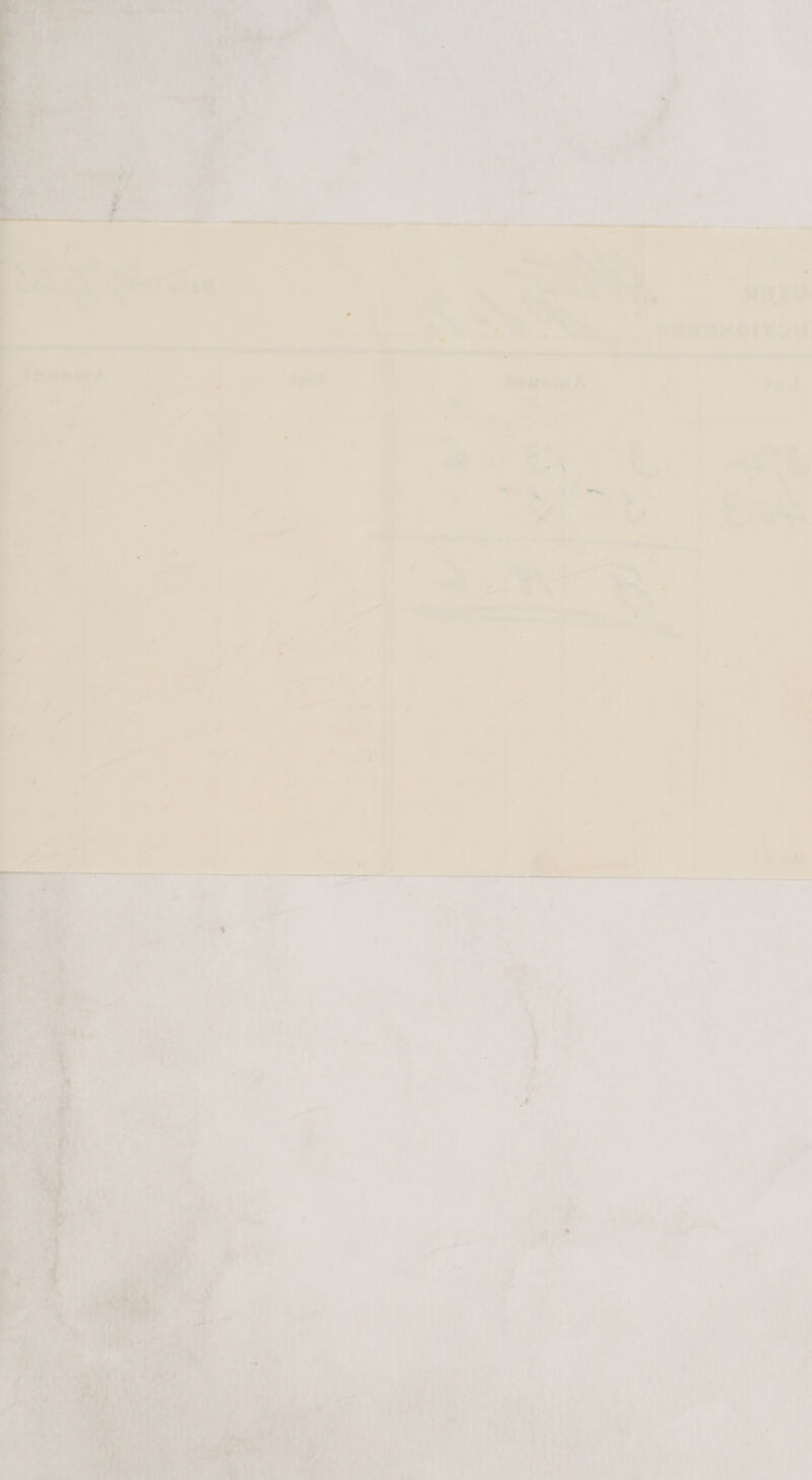 envi ‘Sash OT Dil,   Ja.] 7 Se = a » 4 i - iL irs  tn . 4 eo Fi ® Tae) . vt a \ A , Lenten oa urs + hat pe ae we ‘ Vi ut « i/. ‘ We ea) Bien ¥ vn ae ca : Pr a oat ae ct b :‘ y 7 * S « ae f pa A hy Bi dhcecnat th va a eo D uJ i) : ii = ‘J ‘