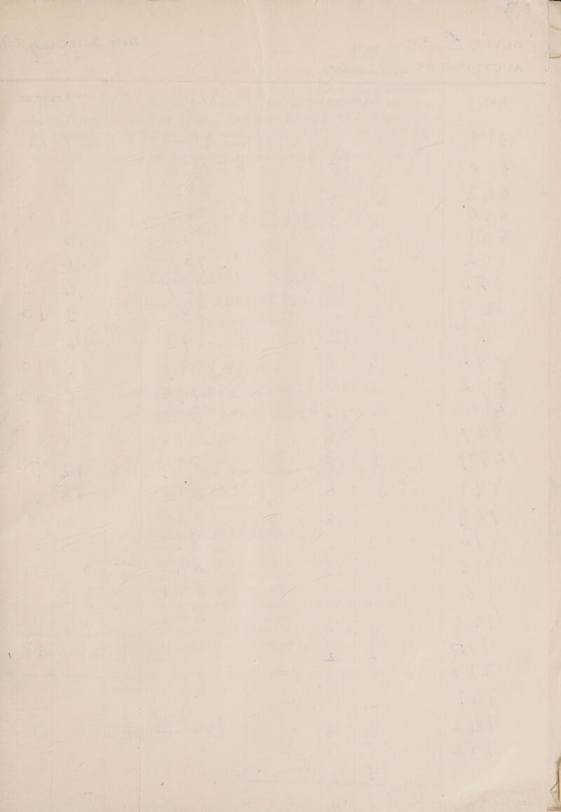 tl ae { L a %) i 14 v. nan fe a oe ou ag , 5 — . WA « 