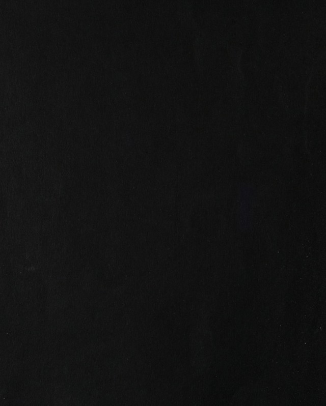 digitised image 2