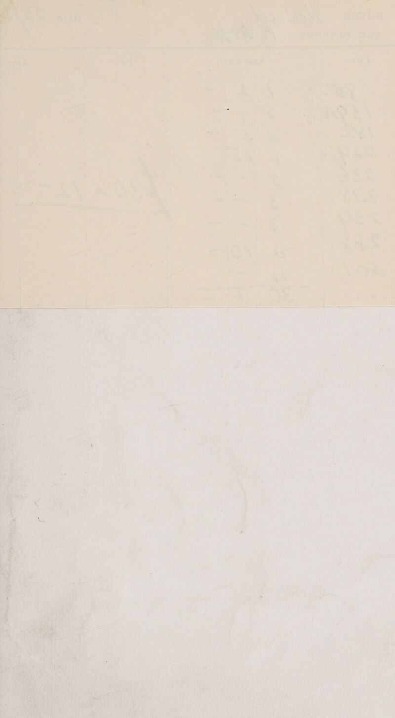 . Baeveriova . bee ors i % ieee is er = oot ee ee = Aas 