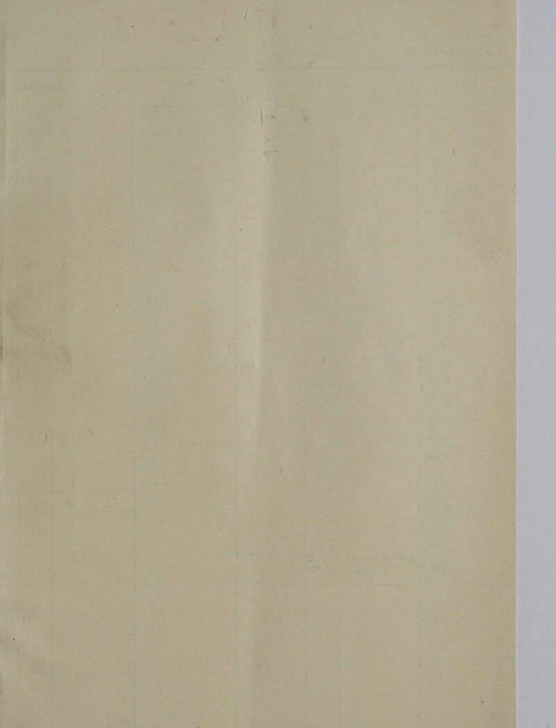 oa 