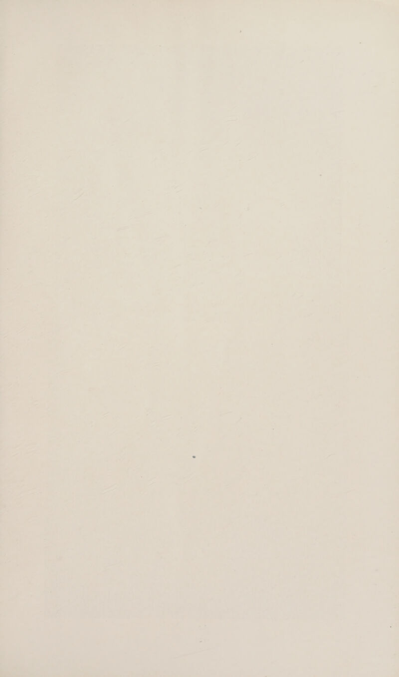ie> ta Chis 2 - &amp; Te ee ESD DN Oe eo Cee ae . ne -  — if ; 43 a a4 - : : 7 ; ol 7 2 : ar t ; 7 a ] i - i A = es a oY 7 ey ' : a ae ding 7 . : ¥ - . op : y oo F of i ¥ a -_  af ah “a — 1 7 ‘ s : _ id ay fs » T a —_ hd : a i A hae ‘ x “4 ~ ~~ e ~~ = - ‘ ’ .. e - A 7 = é i- 7 ? io a un. > tae ; —. ° Pu oe ae Fi ee kr eke ay...» vibe np ele = - 4 = re; 4 a ; J by aa , 7 , 7 \ > ‘ a a + 1 ea ce ‘. a el | ‘ i = ‘; oY Vay ee  pyr eck eve an % ih ee eM Ara 3 4419 a spe 