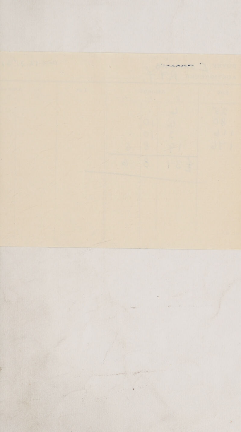 Tov . ph } s        4 Miya i had * iis. ee 2 0 ee ae ; 7 . Pew ts ie iin, ‘ , tr b> og aw : i : a eer es, See eae eee Gas wong fetes ee ; 4 4 i al Nee eee) - , ‘ 1 : = rie 20 ~ —_~ ene. omy hety ae payee LR A pdm a tle pied. ina Ln * : 4 ‘ ys # . = ry se | j 4 > =, . &amp; he TRS) <7 Pi tea 7 “a = - 2, + a j . ; ny i ff : i 2 : ~ * . ; » 5 a rate € 3 aot |. J i ae | ee a ‘ Q , ‘ ‘ ve A ‘ . ‘ J dai ‘ = 4 : ' 4 ‘ - a 4 | ( - ws | i : i ‘ ‘ § 4 Mh , 4 t , > : - ; 4 ; “a 7 etl 7 > : . F aes: ist < 3 r A 7 ; > ; f dl 4 : i dey a [ = - 4 be f a i ee 3 ‘ : es, an 7 ie es : ¥ 7 ae ce a Aan — J FP i. af ; be : an e j mee ? 7 . 3 : a a . : aes ; ion 9 RN pre at pica bk us at pesto aimless ‘ * ee t me: th! i ' y ; . Ho 7 + Vie OE Nk ha Bais Nib! * i . > ‘ - a we Ty =i ¥ Zz » i - e ai pet fo 4 — - -, t } ms F ’ é  > ; ‘ Par k + -— 7 \ - oo ie: . = 3 Pi + - a “a , E é ¥ 4 z : : Sr) 2 : b # : . , s e fi fe . 
