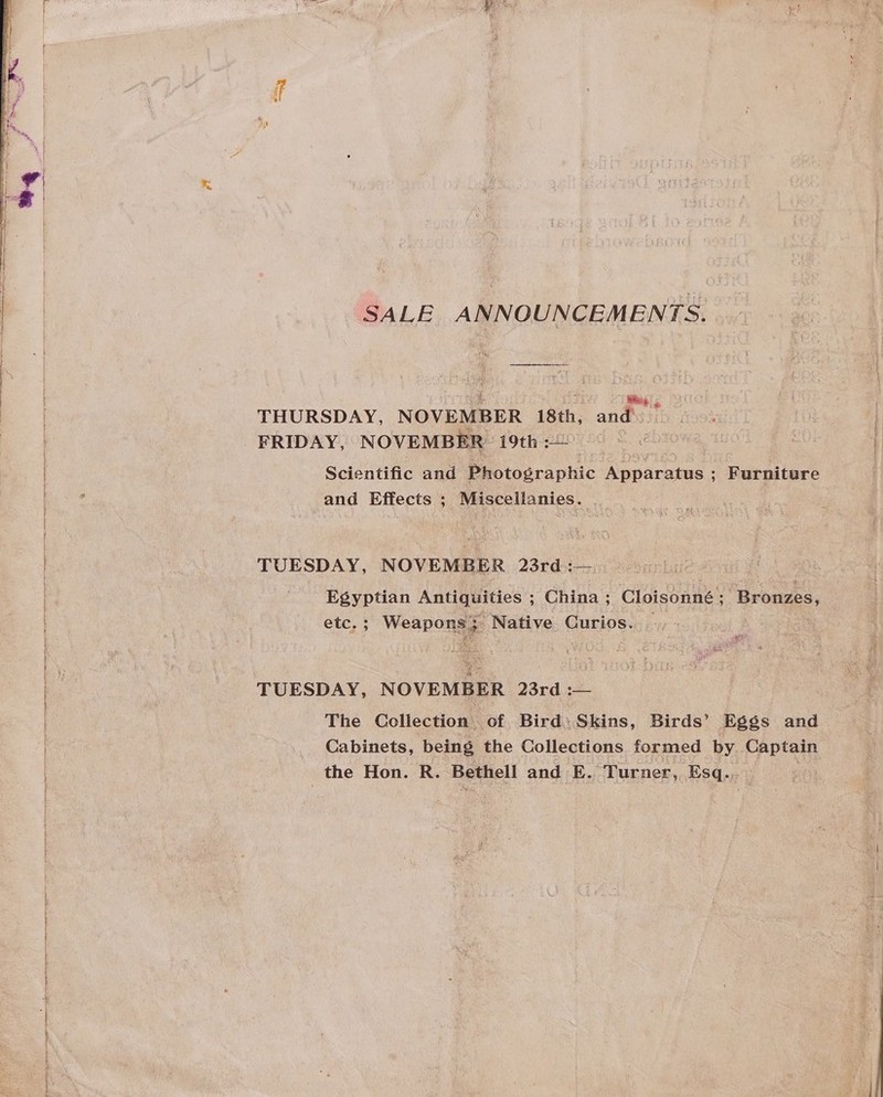 Pz SALE ANNOUNCEMENTS. THURSDAY, NOVEMBER 18th, and FRIDAY, NOVEMBER 19th | Scientific and Pa otosraphic. Separates : ; Furniture | and Effects ; Miscellanies. et TUESDAY, NOVEMBER 23rd: Egyptian Antiquities ; China ; Cloisonne ; : Bronzes, etc. ; Weapongds Native Curios. TUESDAY, NOVEMBER 23rd :— The Collection: of. Bird: Skins, Birds’ Eggs and Cabinets, being the Collections formed by Captain _the Hon. R. Bethell and E. Turner, Esq...