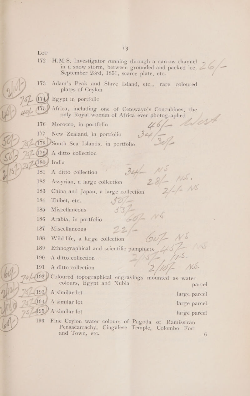 het, 13 September 23rd, 1851, scarce plate, etc. Adam’s Peak and Slave Island, etc., rare coloured plates of Ceylon Egypt in portfolio Africa, including one of Cetewayo’s Concubines, the only Royal woman of Africa ever photographed ¥ &gt; Ae A Morocco, in portfolio Of— er  YF ~ 177 New Zealand, in portfolio ek /— : MD x wk ZA Dsouth Sea Islands, in portfolio Al _, sic A ditto collection . —_ 4 180) India 2 | | yah poy Ms   (/ 181 A ditto collection Ih —  182 Assyrian, a large collection Z: 183 China and Japan, a large col lection Ps 184 Thibet, etc. IO 185 Miscellaneous Ca: me | 186 Arabia, in portfolio &gt; Of \ 187 Miscellaneous 22 fe | 188 Wild-life, a large collection OUL- JV 189 Ethnographical and scientific pamphlets , ae : | Bee Teli OK fs 190 A ditto collection ZS fm   196 Fine Ceylon water colours of Pagoda of Ramissiran Pensacarrachy, Cingalese Temple, Colombo Fort and Town, etc. J ; 191 A ditto collection vee fe 7 fe (VX. ee Coloured topographical engravings moaned as water _— colours, Egypt and Nubia parcel 2193) A similar lot large parcel Y 25 A similar lot large parcel
