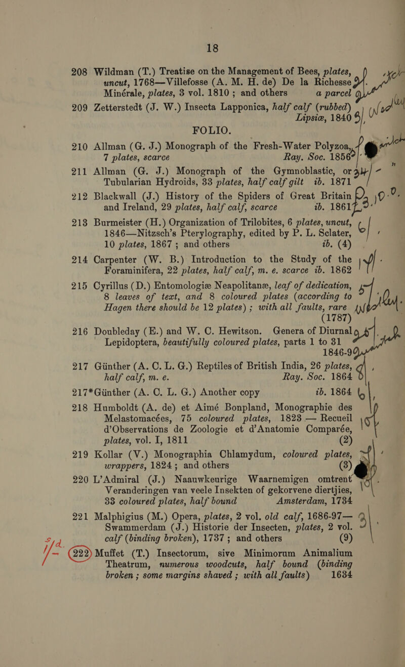 208 Wildman (T.) Treatise on the Management of Bees, plates, F uncut, 1768—Villefosse (A. M. H. de) De la Richesse YY. Minérale, plates, 3 vol. 1810 ; and others a parcel ¢ 209 Zetterstedt (J. W.) Insecta Lapponica, half calf (rubbed) | ni Ae Lipsie, 1840 9 210 Allman (G. J.) Monograph of the Fresh-Water Polyzoa, e” 7 plates, scarce Ray. Soe. 1856° . 3 211 Allman (G. J.) Monograph of the Gymnoblastic, ct 1 Tubularian Hydroids, 33 plates, half calf gilt ib. 1871 212 Blackwall (J.) History of the Spiders of Great Britain), 9-2. and Ireland, 29 plates, half calf, scarce tb. 1861 3. 213 Burmeister (H.) Organization of Trilobites, 6 plates, uncut, G 1846—Nitzsch’s Pterylography, edited by P. L. Sclater, , 10 plates, 1867 ; and others ib. (4) 214 Carpenter (W. B.) Introduction to the Study of the IF Foraminifera, 22 plates, half calf, m. e. scarce ib. 1862 215 Cyrillus (D.) Entomologiz Neapolitane, leaf of dedication, 1 FOLIO. 8 leaves of text, and 8 coloured plates (according to Hagen there should be 12 plates) ; with all faults, rare (1787) 216 Doubleday (E.) and W. C. Hewitson. Genera of Diurnal 2h Lepidoptera, beautifully coloured plates, parts 1 to 31 | 1846-9 217 Giinther (A. C. L. G.) Reptiles of British India, 26 plates, ¢ , half calf, m. e. Ray. Soc. 1864 217*Giinther (A. C. L. G.) Another copy tb. 1864 |, 218 Humboldt (A. de) et Aimé Bonpland, Monographie des Melastomacées, 75 coloured plates, 1823 — Recueil st d’Observations de Zoologie et d’Anatomie Comparée, plates, vol. I, 1811 (2) 219 Kollar (V.) Monographia Chlamydum, coloured plates, — wrappers, 1824; and others (3)    220 L’Admiral (J.) Naauwkeurige Waarnemigen omtrent Veranderingen van veele Insekten of gekorvene diertjies, 33 coloured plates, half bound Amsterdam, 1734 221 Malphigius (M.) Opera, plates, 2 vol. old calf, 1686-97— 4, Swammerdam (J.) Historie der Insecten, plates, 2 vol. calf (binding broken), 1737; and others (9) S i/ ad (222) Muffet (T.) Insectorum, sive Minimorum Animalium Theatrum, numerous woodcuts, half bound (binding broken ; some margins shaved ; with all faults) 1634