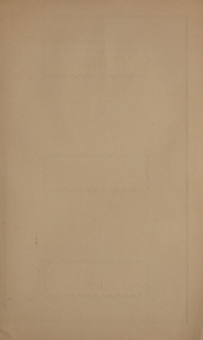 5 vue — et TRIS Pe eae ee ewe aaetotigeare ah 4 