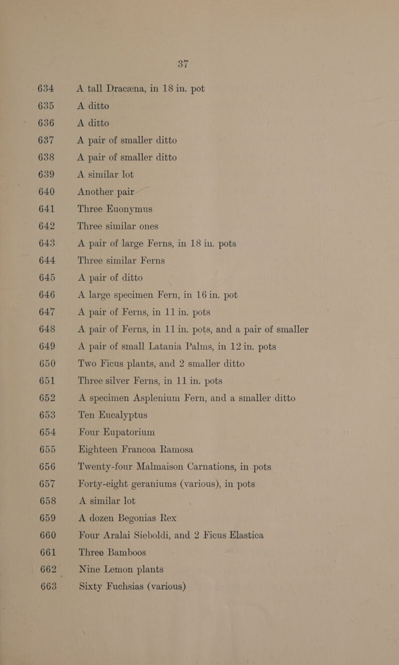 6354 6355 656 637 638 659 640 641 642 645 644 645 646 64:7 648 649 650 651 652 653 654 655 656 657 658 659 660 661 663 37 A tall Dracena, in 18 in. pot A ditto A ditto A pair of smaller ditto A pair of smaller ditto A similar lot Another pair Three Euonymus A pair of large Ferns, in 18 in. pots Three similar Ferns A pair of ditto A large specimen Fern, in 16 in. pot A pair of Ferns, in 11 in. pots A pair of Ferns, in 11 in. pots, and a pair of smaller A pair of small Latania Palms, in 12 in. pots Two Ficus plants, and 2 smaller ditto Three silver Ferns, in 11 in. pots A specimen Asplenium Fern, and a smaller ditto Ten Eucalyptus Four Eupatorium Eighteen Francoa Ramosa Twenty-four Malmaison Carnations, in pots — Forty-eight geraniums (various), in pots A similar lot A dozen Begonias Rex Four Aralai Sieboldi, and 2 Ficus Elastica Three Bamboos Nine Lemon plants Sixty Fuchsias (various)