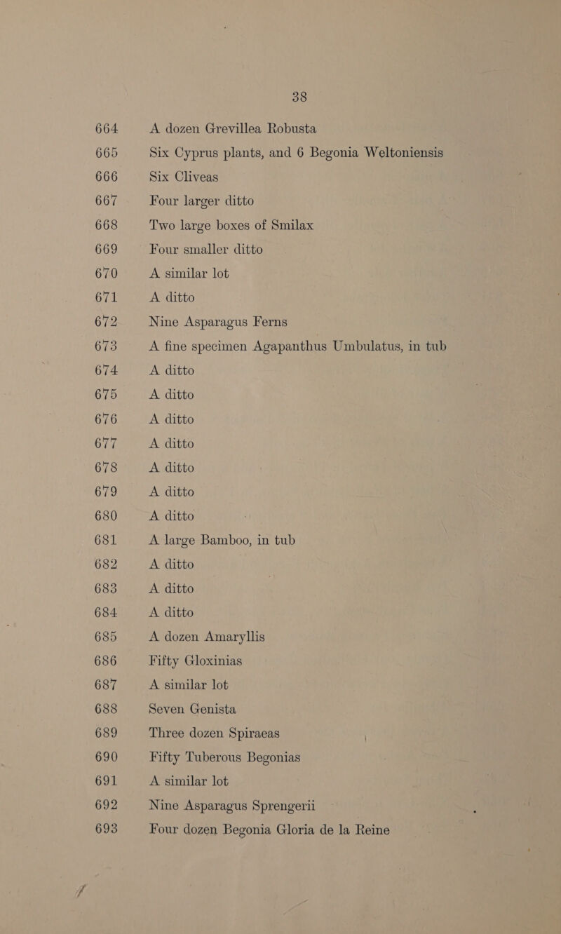 A dozen Grevillea Robusta Six Cyprus plants, and 6 Begonia Weltoniensis Six Cliveas Four larger ditto Two large boxes of Smilax Four smaller ditto A similar lot A ditto Nine Asparagus Ferns A fine specimen Agapanthus Umbulatus, in tub A ditto A ditto A ditto A ditto A ditto A ditto A ditto A large Bamboo, in tub A ditto A ditto A ditto A dozen Amaryllis Fifty Gloxinias A similar lot Seven Genista Three dozen Spiraeas Fifty Tuberous Begonias A similar lot Nine Asparagus Sprengerii Four dozen Begonia Gloria de la Reine