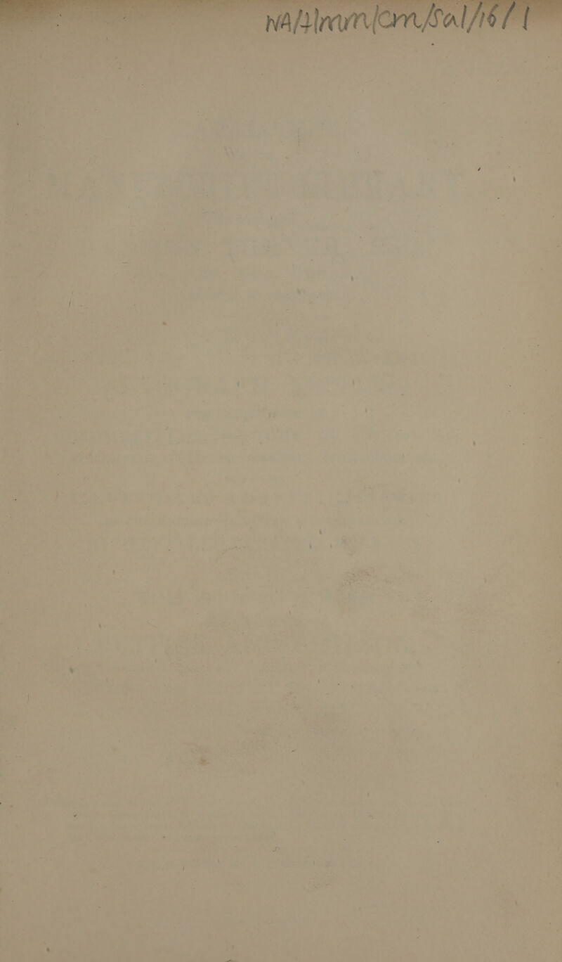 * a % 0 eg ee ee = o- i A + ss ah aes oy Beets ay , af ene | 