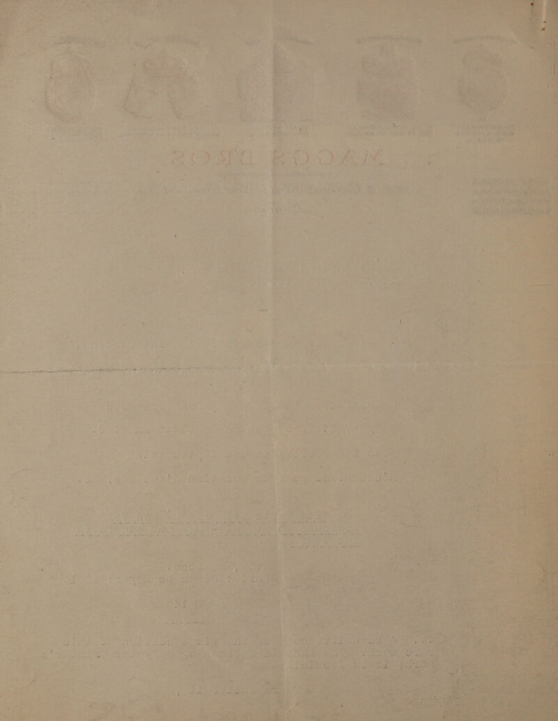 lle sah imaleean a up ag ow pA My 