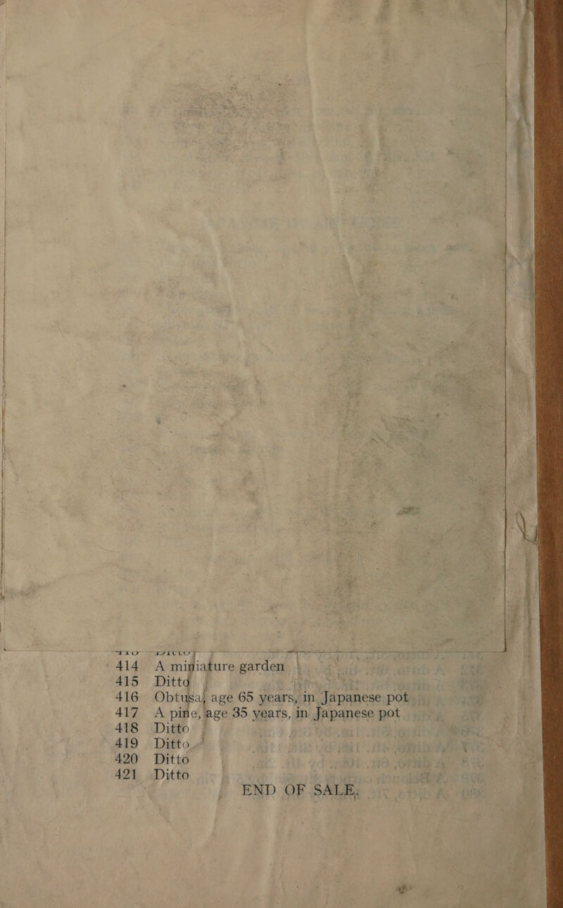 FS ae eens aecmneneenenieenecree ae PACTS Se ESL aig ATS i ih c      an mil iature garden Ditt   r a terts Ay | ‘ ae page 65 years, in epee pot ot ge 35. Maes | in s dPEADESED a Bie ae nt) j tats. . earl we tee vi MF Ditto. eS Rel CS tf ja a CORED MANGE Ditto : it. ahh oye ais “Ont &amp; ret aa . 2 Reta 208 ; | END oF sae Pbk ve     
