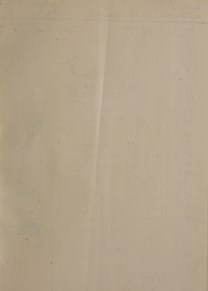 : ’ hee 433 oF Le ree oe: : as Taw tha Fi K. OE 9 ely anne Ee pie There as ma seeders? ay er —SS 5 ‘ 