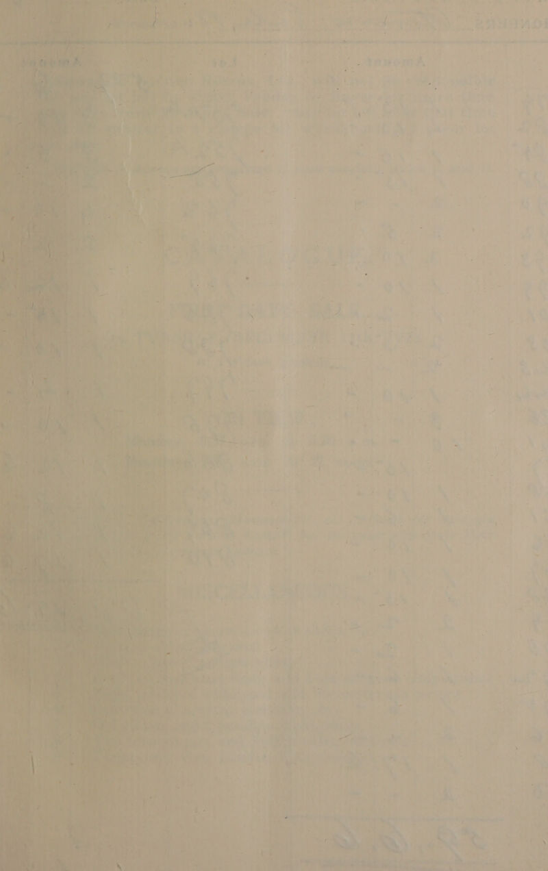  eye  ny i  P . oe 4 - ‘ a &gt; “a i= 1; ; re be \ - -  ' ; ae L— ‘ , é c #~ 1 i i abn Pat, , + h 7 ma | . ' i 7 P a 1, L we ra s s ‘ - i} a 5 * é¢&lt; . Sof) a Yb ees i’ i ‘ aut o 4 , * ( 3 oy ad PE WA, 