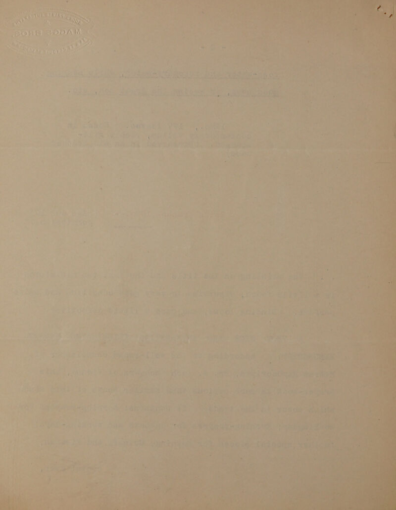       Th dab de s) PeyneuN ahah 1 Fe, a ee Da O44, _ . . :. “a x } st Seyiie) ele At 