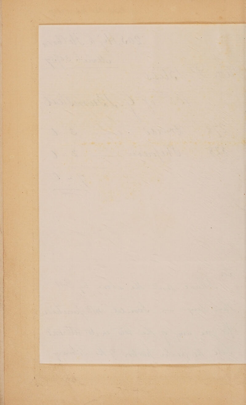 ‘ 7 ‘ a os AN a 4 a par, +4 < AEE PR gS NN 