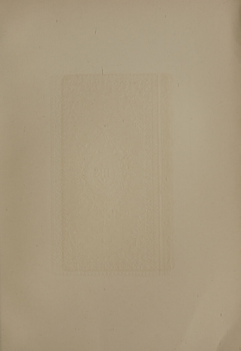 ial is . = nae, . = TS Nake re ~, ae ae re . as es ae 