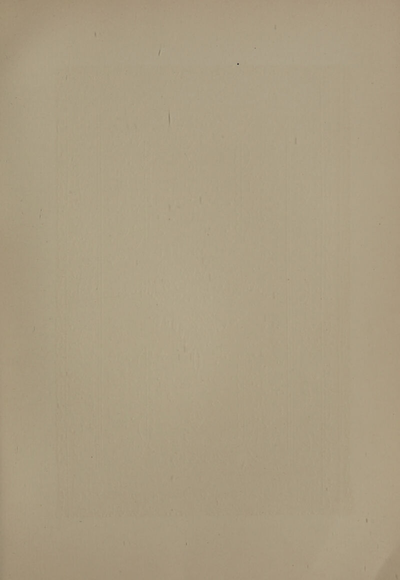 we e < Y wee » ae i 