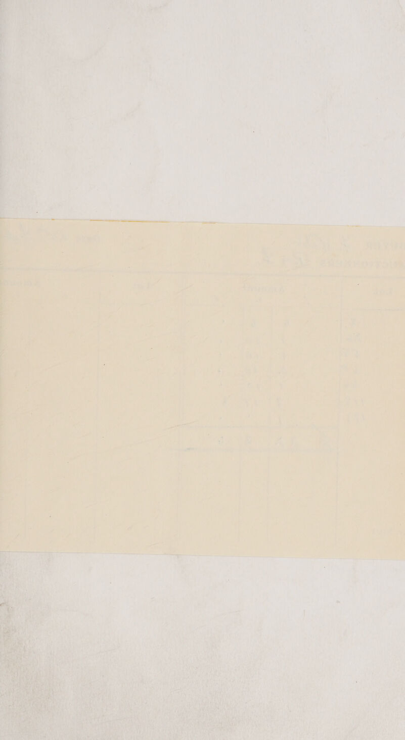 Ore 7 ce iittala et aisha a ee  9 o “hy 2 af 4 oF j ; ati ‘4 \ : 4 - aol ¥ ’ , a ' ] ee . i Pr ‘ 1 1 ia é 2 gem ean get tp ee ; . i TEA EII IS : he Se f on ‘ o ts . . i a7 ; | = a re  a   a  