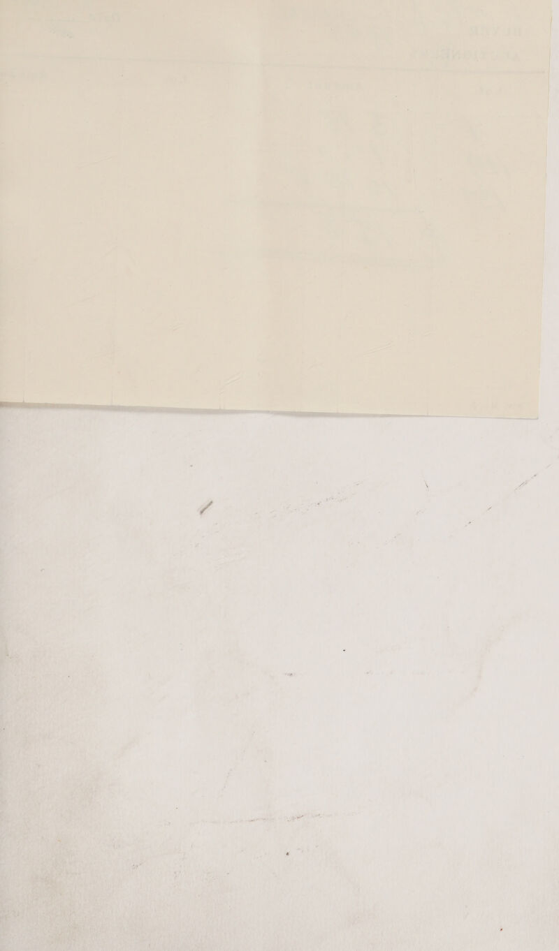  ou x Orie Se | a Rae ok F - ie a : eo _ See pees | Pa fi A Me { a i o'} - aa is Dy i s | | * we. / Babe nomen | é ;  x OA f Es W- ; ete 4 ' , hil | | i , ¢ i ny Le Be id : - r iv  ahs, } Pa aha ab  . # | 2 ’ 4 a ae f | E 7 yr  } as ae : wa) ssi tha aie ibaa wi .   ah  ’ % f 7 i be ft ‘ ; lhe es i re) % ee, é f P 4 j f 1 a  ee Lar 