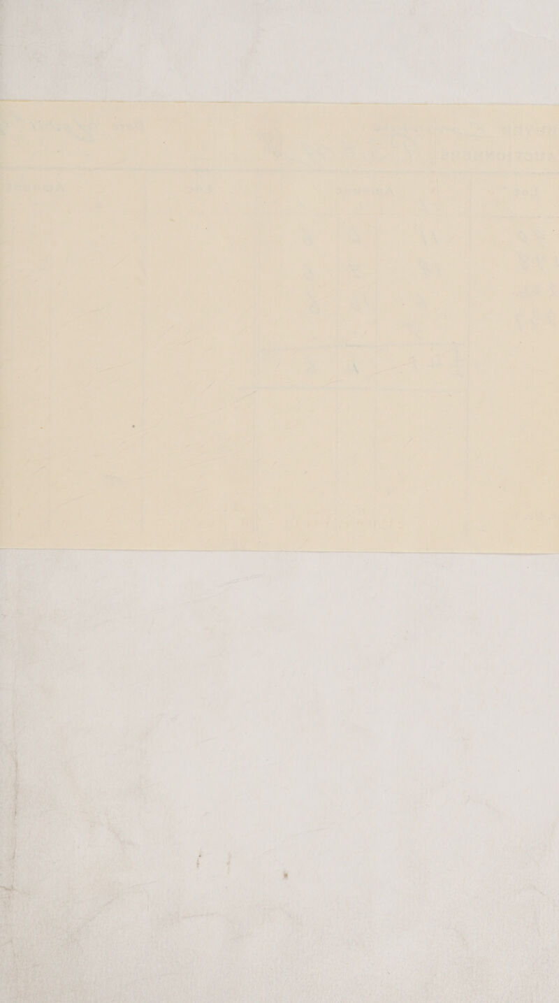     Ri ' = . 4 . dink, Nati: serail a tt ea ie cn int hen Ne ey ipa ae ili om a0 ga eatin > I . ; = oa SIE ai LHe A  Ki | cat = 4 ; ~ nN + ~ 4 i * . i ; | be 4 i . q t = < bia yee - ; ty ‘ ; ‘ett ae gs Se oy : 4 re ., =A . :: “ \ : x a J as 5 ; j j i ' , M, ' : oo f . ea ; > eo “J ‘ ai 4 7 he 4 Z , : 7 ¥ 7 f Ye ed » ha r . ey | A“ ; et i 4 “se P ; ee / . - ee is ‘i Be 4 ‘ Ge 74 PP, a 4 j i  ay a ee “ f : 7 : 2 ‘ 