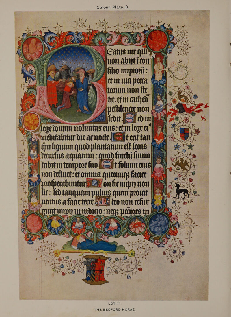         Gants mar qua | non abyticon ifthe muon: | etna peor § ‘Hou non fie.  hanum quod pl SFr migniun quod planfahun t jg a od finchi fim           itenp | non dfluct: etomme mu qc Fact a evabrmatunn il f onficunpy not ic: fed tanquamny les quem prowtt peta acetee Oe at 21 ie non whi | crocs NS sa Sata 4 ows § sy SS a 4 \oig e/,