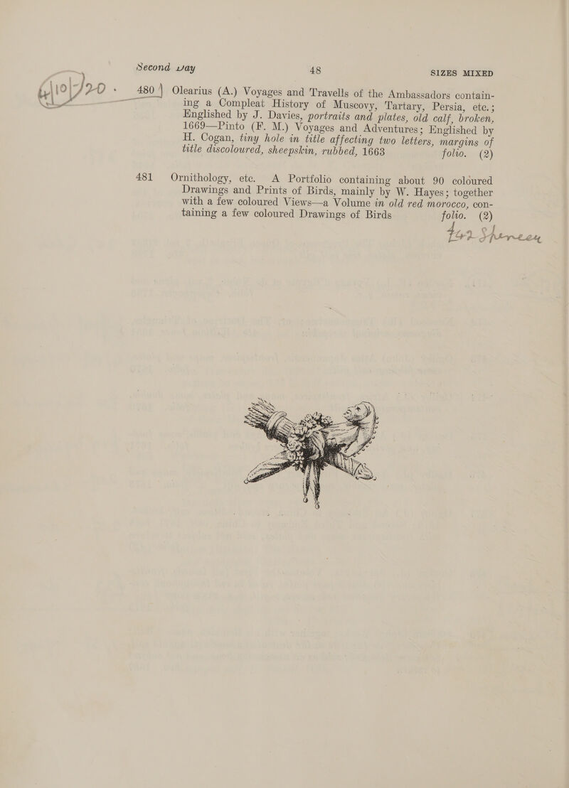 JOT ; 480 | Olearius (A.) Voyages and Travells of the Ambassadors contain- wh asi, UE ing a Compleat History of Muscovy, Tartary, Persia, ete. ; Englished by J. Davies, portraits and plates, old calf, broken, 1669—Pinto (F. M.) Voyages and Adventures; Englished by H. Cogan, tiny hole in title affecting two letters, margins of title discoloured, sheepskin, rubbed, 1668 folto. (2) 481 Ornithology, ete. A Portfolio containing about 90 coloured Drawings and Prints of Birds, mainly by W. Hayes; together with a few coloured Views—a Volume in old red morocco, con- taining a few coloured Drawings of Birds folto. (2) f Hi ee % Y &amp; a Me ait. 6 as | eo fj f att a a &lt;4  