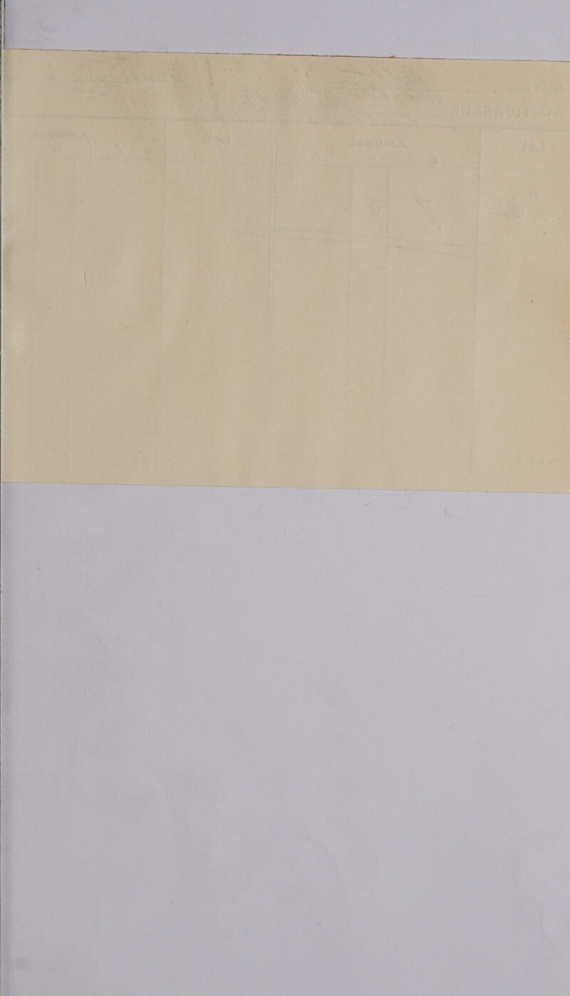  ee ae St Era ey iia ips seas ieee : ;  