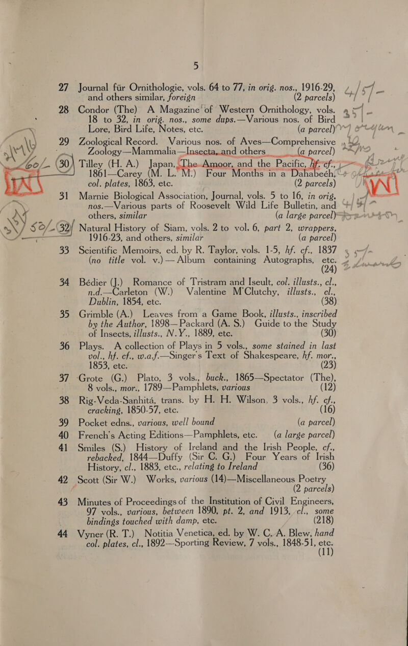 27 Journal fiir Ornithologie, vols. 64 to 77, in orig. nos., 1916-29, » / 4 £ and others similar, foreign (2 parcels) “H/ a | 28 ee (The) A Magazine’ of Western Ornithology, vols. a | E 8 to 32, in orig. nos., some dups.—Various nos. of Bird Lore, Bird Life, Notes, etc. | (a parcel) VY] CG an Zoological Record. Various nos. of Aves—Comprehensive « “2 No | Zoology—Mammalia—Insecta,.and others, __(a parcel) = Jy cS ( j Bucy (H. A.) per Pepe .Amoor, and the Pacific, Brtf, [= fe E —< 1861—Carey ( Four Months in a Mahabech col. plates, aN al (2 ae Awl Marnie Biological Association, Journal, vols. 5 to 16, in orig. . nos.—Various parts of Roosevelt Wild Life Bulletin, and ~  others, similar (a large parcel) =?rw Natural History of Siam, vols. 2 to vol. 6, part 2, wrappers, 1916-23, and others, similar (a parcel)  Scientific Memoirs, ed. by R. Taylor, vols. 1-5, Af. cf., 1837 4 7. (no title vol. v.)—Album containing Autographs, 4) 4 ye ee 34 Bédier (J.) Romance of Tristram and Iseult, col. illusts., cl., n.d.—Carleton (W.) Valentine M’Clutchy, illusts., cl., Dublin, 1854, etc. (38) 35 Grimble (A.) Leaves from a Game Book, illusts., inscribed by the Author, 1898— Packard (A. 8.) Guide to the Study of Insects, illusts., N.Y., 1889, etc. (30) 36 Plays. A collection of Plays in 5 vols., some stained in last vol., hf. cf., w.a.f.—Singers Text of Shakespeare, hf. mor., 1853, etc. (23) 37 -Grote (G.) Plato, 3 vols., buck., 1865—Spectator Usk 8 vols., mor., 1789—Pamphlets, various (12) 38 Rig-Veda-Sanhita, trans. by H. H. Wilson, 3 vols., Af. ne cracking, 1850-57, etc. (16) 39 Pocket edns., various, well bound (a parcel) 40 French’s Acting Editions—Pamphlets, etc. (a large parcel) 41 Smiles (S.) History of Ireland and the Irish People, cf., rebacked, 1844—Duffy (Sir C. G.) Four Years of Ivish History, cl., 1883, etc., relating to Ireland (36) 42 Scott (Sir W.) Works, various (14)—Miscellaneous Poetry ; (2 parcels) 43 Minutes of Proceedings of the ee of Civil page 7 vols., various, between 1890, pt. 2, and 1913, some bindings ‘touched with damp, ete. 44 Vyner(R. T.) Notitia Venetica, ed. by W. C. A. Blew, hand col. plates, cl., 1892—Sporting Review, 7 vols., 1848-51, Fi