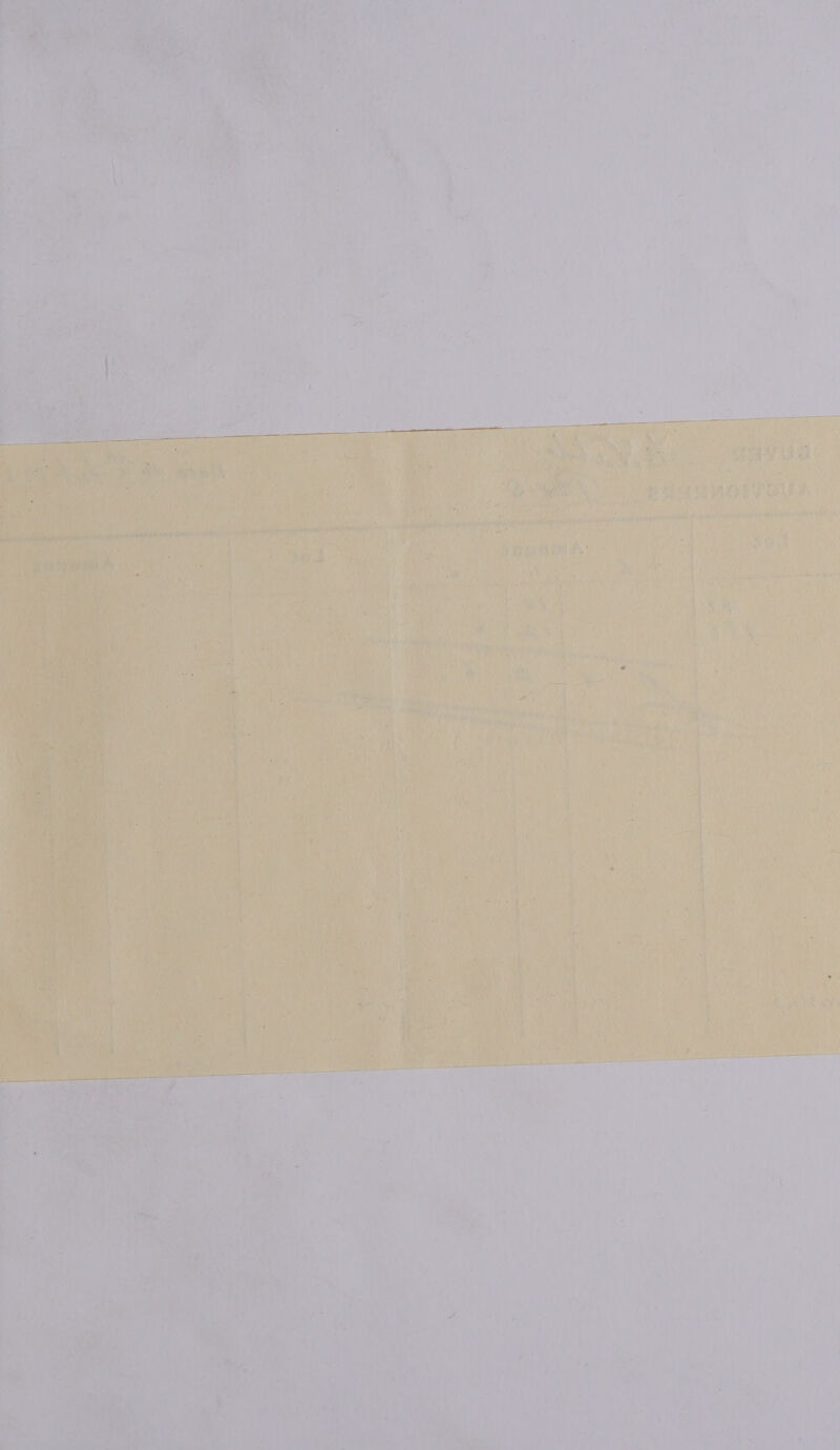 = ; My hy ree: oe ace pls : wi ¥- i a y wh a fieh peau ee 