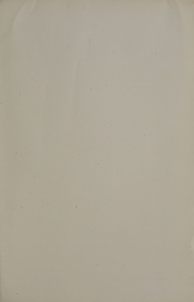      , Pt _— aos a _ ra . = a oop seth im a < TA8 By adc “ lad 7 Fe. ‘ weet : V. Care “ke A ohne a Gores . - ar Tee ee . &amp;7 tos ae 1 ie en as MMe ors ch oe! >