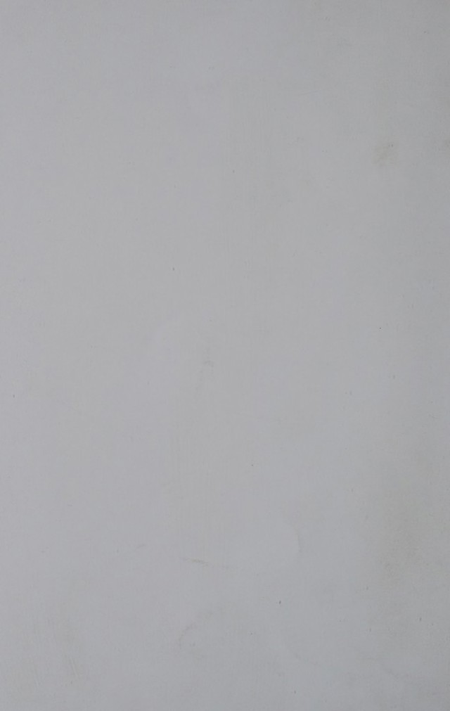 digitised image 2