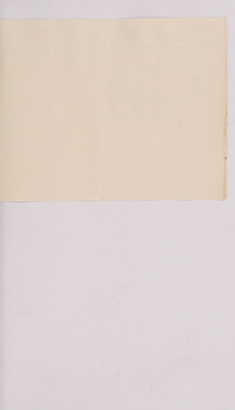       a ‘\ oe my ae ihe et Ge ' : we LAU ahaehs ee me he chip er gies, see aN Hie soaatn — 1. eee . { : x, 1      Vor ee te ee eae 7 eet ye er te £22 ae i al r ' cM: a see _ a APs oa it Ot vee cay : A 4 as ; La al es      