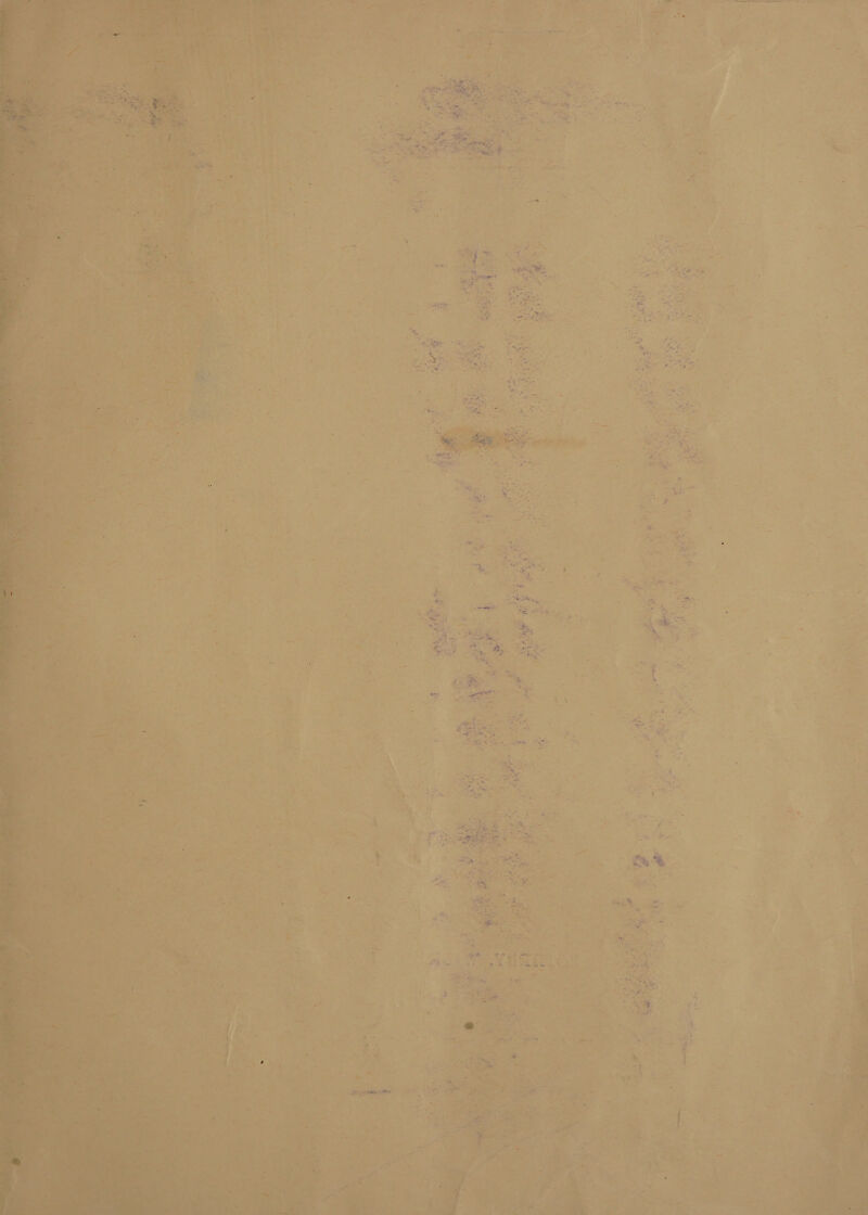 No text description is available for this image