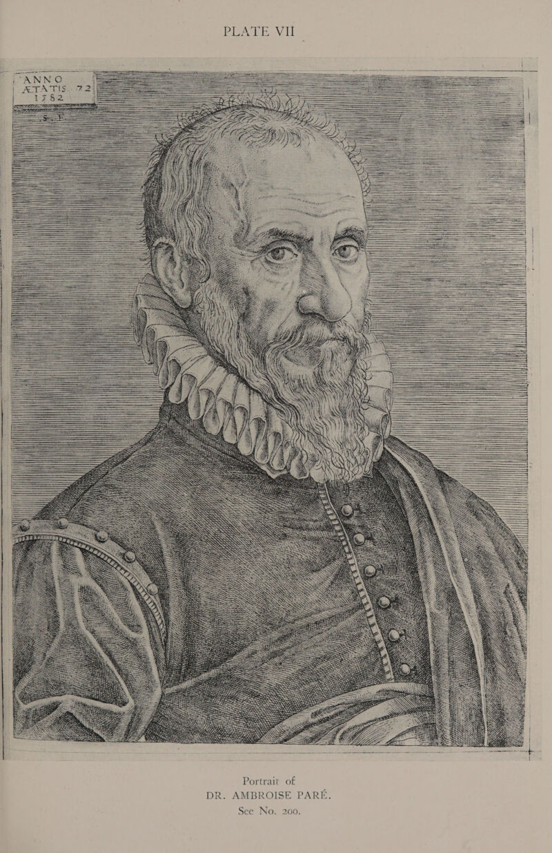 PLATE VII                                    i) 5; LM Mies                                                                                                                                              Hy i hy WY        1      thy ri Hie              pee } y OT       Lf  t wi) We           eet arene atria EA to ily               - 4 DR. AMBROISE PARE.