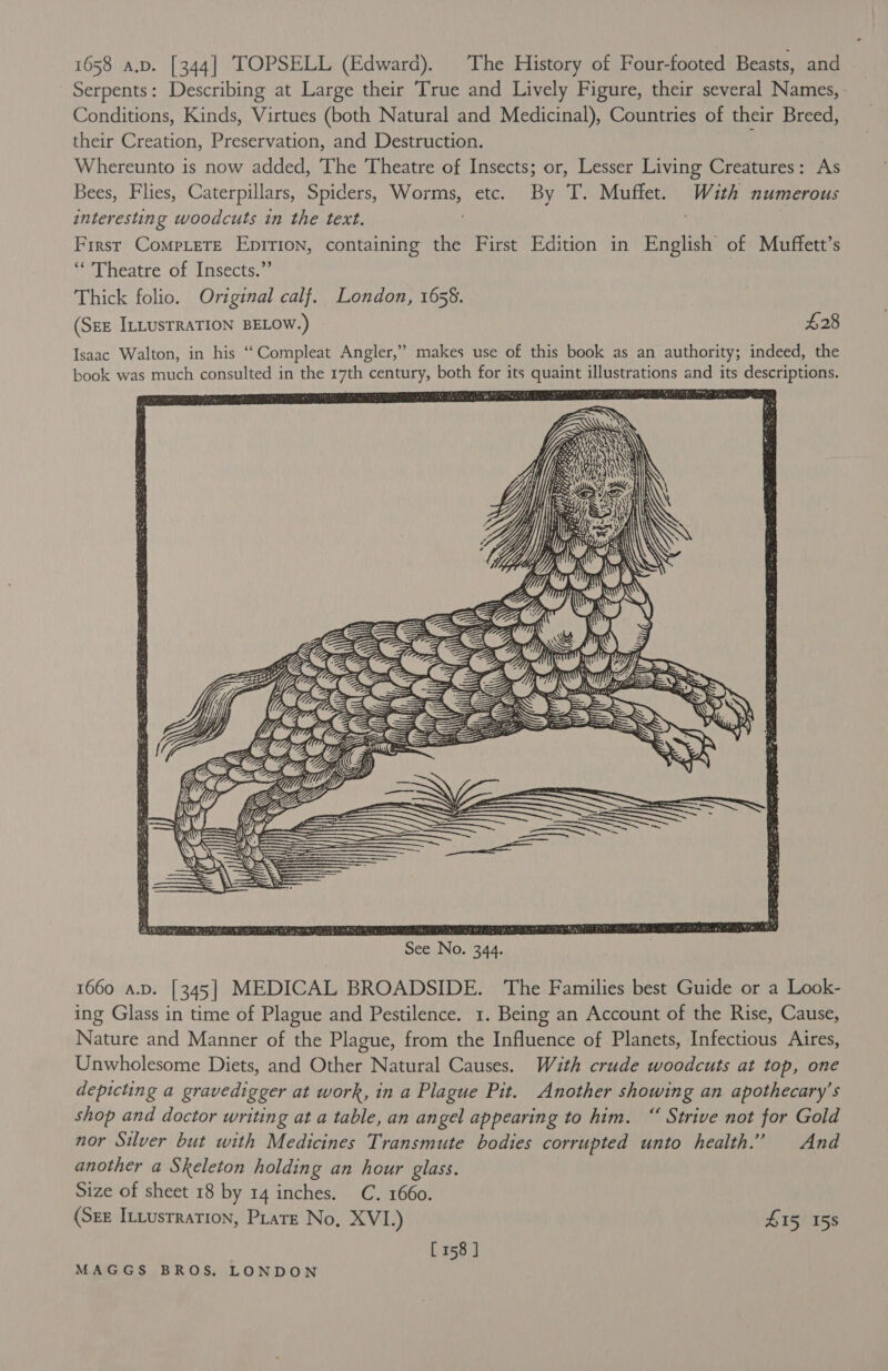 1658 a.p. [344] TOPSELL (Edward). The History of Four-footed Beasts, and Serpents: Describing at Large their True and Lively Figure, their several Names, | Conditions, Kinds, Virtues (both Natural and Medicinal), Countries of their Breed, their Creation, Preservation, and Destruction. , Whereunto is now added, The Theatre of Insects; or, Lesser Living Creatures: As Bees, Flies, Caterpillars, Spiders, Worms, etc. By T. Muffet. With numerous interesting woodcuts in the text. First Compete Epirion, containing the First Edition in English of Muffett’s ‘Theatre of Insects.”’ Thick folio. Original calf. London, 1658. (SEE ILLUSTRATION BELOW.) $28 Isaac Walton, in his ‘Compleat Angler,” makes use of this book as an authority; indeed, the book was much consulted in the 17th century, both for its quaint illustrations and its descriptions. Pee Gee teencece See Coy € wa  See No. 344. 1660 a.p. [345] MEDICAL BROADSIDE. The Families best Guide or a Look- ing Glass in time of Plague and Pestilence. 1. Being an Account of the Rise, Cause, Nature and Manner of the Plague, from the Influence of Planets, Infectious Aires, Unwholesome Diets, and Other Natural Causes. Wath crude woodcuts at top, one depicting a gravedigger at work, in a Plague Pit. Another showing an apothecary’s shop and doctor writing at a table, an angel appearing to him. “ Strive not for Gold nor Silver but with Medicines Transmute bodies corrupted unto health.’ And another a Skeleton holding an hour glass. Size of sheet 18 by 14 inches. C. 1660. (Srx InLusrration, Pate No, XVI.) £15 158 [158 ]