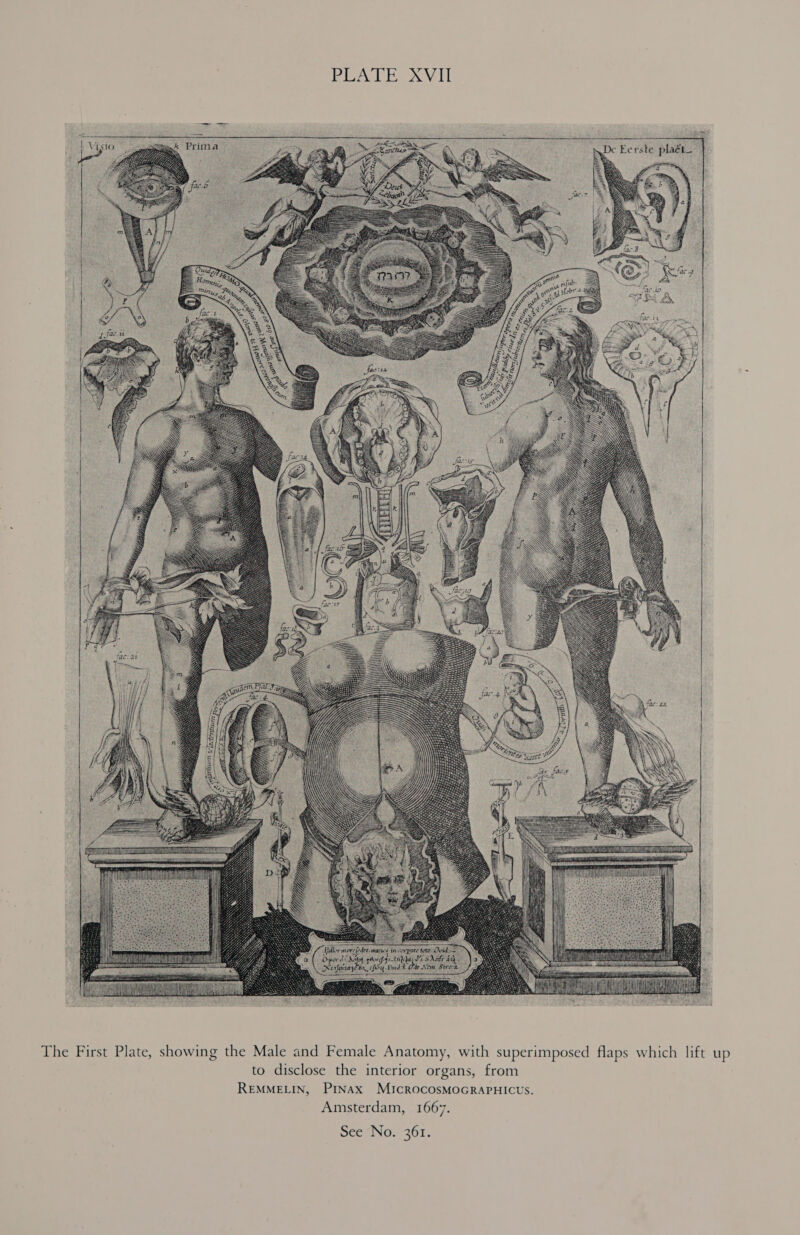 PEALE XVI De Eerste plaét_  The First Plate, showing the Male and Female Anatomy, with superimposed flaps which lift up to disclose the interior organs, from REMMELIN, Prnax MICROCOSMOGRAPHICUS. Amsterdam, 1667. See No. 361.