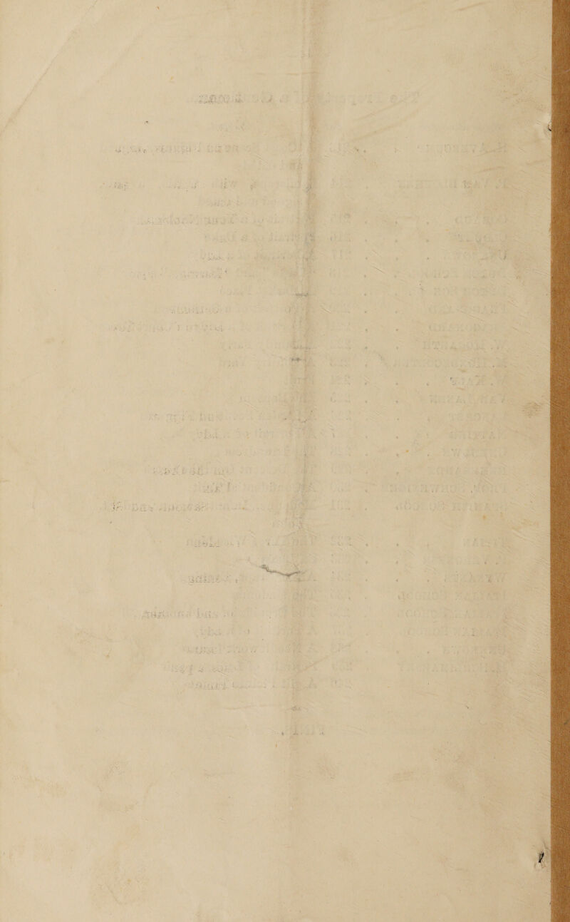          * : by ey (             ; | = ; ‘ es                         ‘ . A ‘ be 4 a 1 é satis P r Pins sh Ee Bn . ys ‘ ~ i a> : 4 ‘ a . ; 4 4 j ; j { 24 3 s * i. ‘ Pe 5 , t % i { ae; Y y vk of : ; { : y ‘ i ode, Pot 3 e   