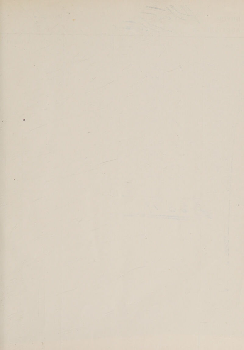 er | 4 lia, ae —_ ,  . &gt; = oe « Dees we ie : * \ . x ; ~ EA or j i | tun ¥ 4, ji &gt; ete — © = 2 Sa ais —- AiwicMalage a - = - 1 Astra seat pe P Tan, . 1 a se * &gt; ! ' “— - ‘ ind ‘ * a) 7 o @ te 8 f iP -_ ya rl JZ + 1 ‘ 4 1 : le 4 ic : * 7 ca . . F « : oe » ~ 4 re ’ ah “ mak ae + t : * j L Cs j a _ 