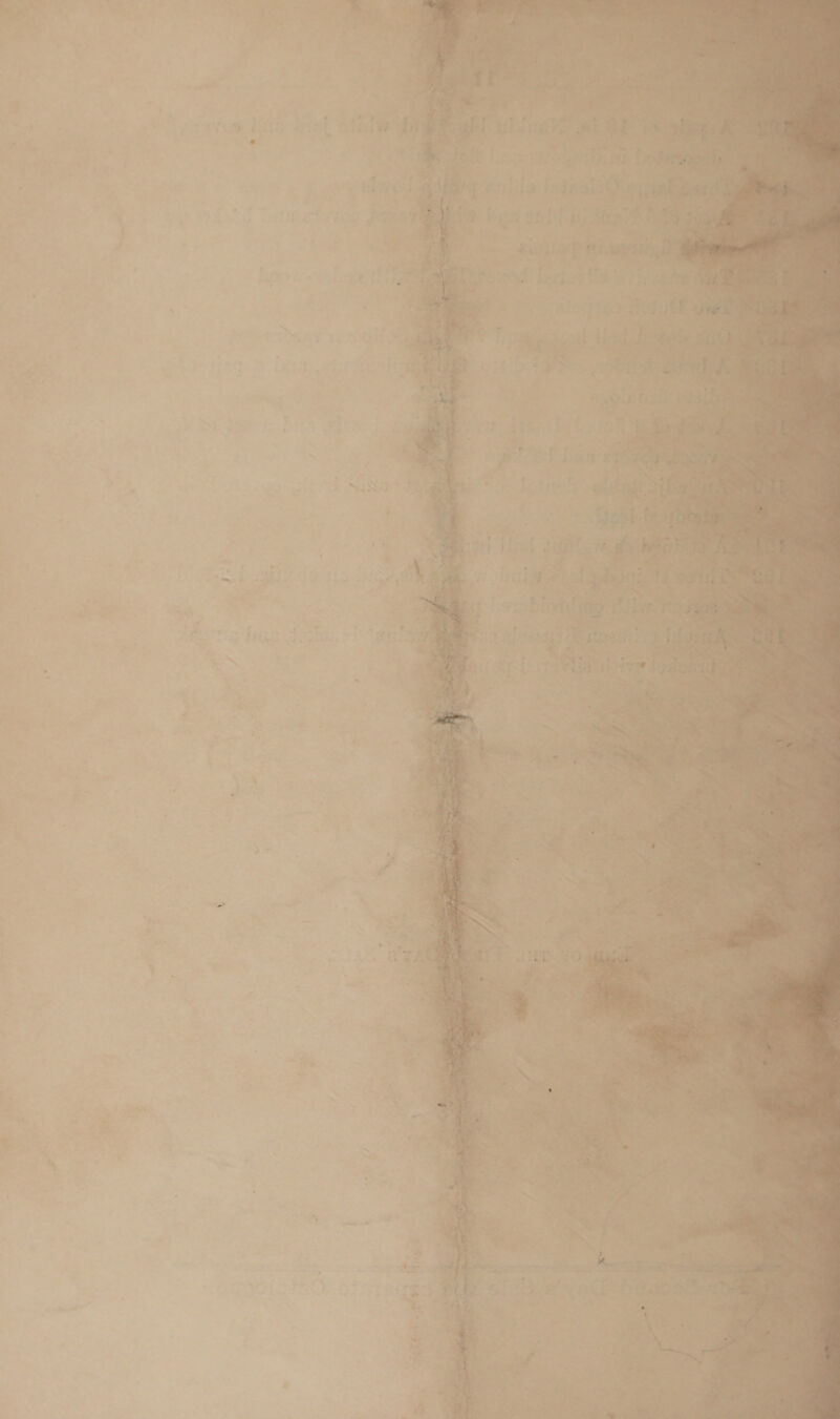 cP ‘ ‘ a > % , ri = le PSO i ! $ > : oe Ren ry eh 7 ‘ a af Ae ‘ zi : an w q od aS tee “3 « 