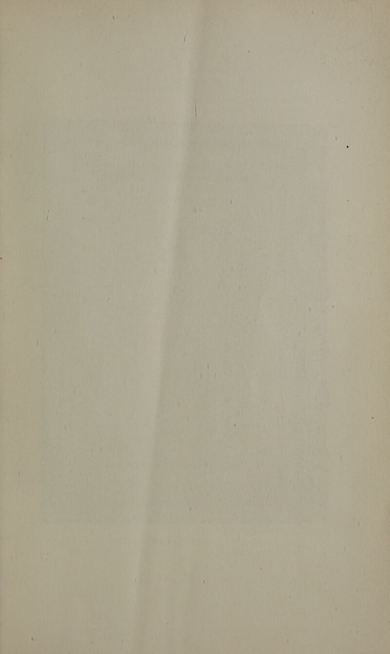 3 ‘ a pra : Me er  z pe Gs Poa a i= A — sa ar ae =F              ; Pi on u AN xy % ‘ ? § th | d 1 : i p ; LAP het pth sr | air) Mb MF oS i ’ | | v y | fh : - 5 ' : ; 4 i i 1 / : A | 4 t t ‘ a4t ; : ee), th : ay Sion, \ eg 7h ia “ oe yarey N | yy Ty ' eo Ma is ; el x r i tb Ale ay Td at : Tea on ee f at i, LAW, 0. ae Pe peal . su aa us CARE SY eae PAP ARIE) Ly hs A? ay Seana) Bie de- he d e TS NS Nes aaa am , | sy : Wy at ey] ae hUAR: “a DAR thet i hi ay yay Dy Y ae Pie) a a j a ee . { ve { '4 y ‘ i aye ae 4 aay as if ina Ph) vee Ree Ww ; | j : ‘ ae “oy RRS a ~] | ih se we f | a) f ae — ey &amp; se sip at ‘ PY, aA A (ay f cM; | baa Me ” he  ve eM  ay M a r¢ PTR YN ot WLR beds, LE et si Rh s/h ys cin ete art | | oe 4) Vive Fhe beyh's ' : if R Bey yes WY j } » We Pe! ‘ 4 ¥ r ia ' WAL AN lene ar | hea bey Pe 0 ns 7 P ; ‘d hans Le, a ¥ ey mali \ i t el OF | ; a ORAL, I Ai } uy he 3 . * Ta A is ‘ \ | te ial Lay ; be ‘a pt aati a) ue APS 4 | ’ a i 74) ’ \ c i 4 ’