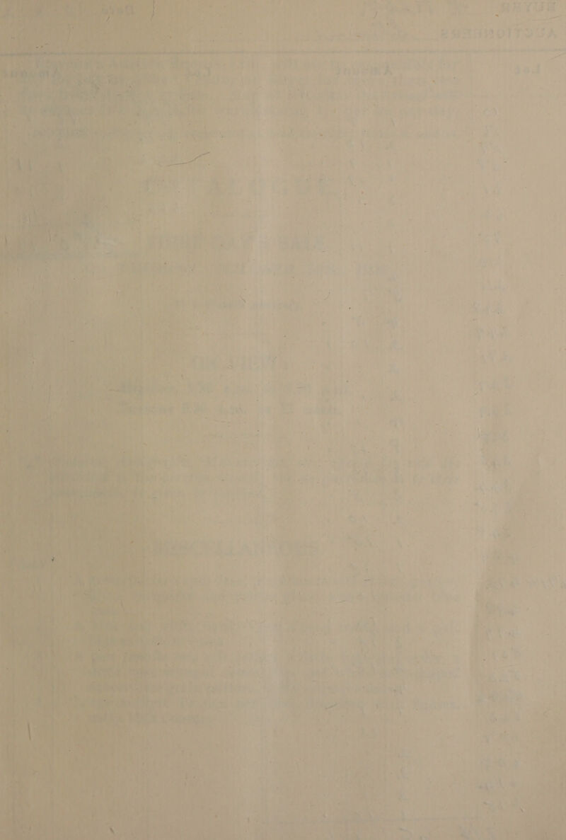           vee q ay io ie get so * ‘Gar 7. b ¢ “ 224 died | . 40 , ¥ ‘~ ) a - a a beat ' A, iw, P42 ah - * . ‘ a , rage “ie Le at ta F } yet ct de aot wom A , pe Sip4 mel b ‘ et i : ‘i> “it a eer | : ny Pa f g es aes’) ot on ty: d . *) 1 j , anh A . ad , G 1) De ga Ps ‘ f ah . ’ ; ; d , “J ¥ > * ‘ ms * +-¢ ' i= d ’ i a ” ¥ : 5 . i ty j v< 4 a3 5 + ’ ‘ my 5 r +! \ 5 : }/ rAS a De , hy ,, A - : x . 4 ee 2 . .  ? aD ied i . ' ey ¥ , a - | ‘ 4 be ae ; _ ?, ‘ : , 7 * anal n yt <s  : } £ ae hc S's : ty i ae Ph aes »% , : - ¢ ee. ' , *¥: * é . oye. = | ee - Pe le he. +1015 See sty ‘ i 4 a 4 *\ - 7 f ol Re ’ ~ 1 « ; ale iy : Lee oY * . ec. 5 ' , a as = ' a ro! rs ! - t “=e 7 + Oe ' pen Via j ee ¥! a 2 1) ae : ab A aPAg. e 2 TY + Sar + th ee a ee : MA Aa OAT 2a, F - a) rot Ses s 4 ‘ i 2. i +i iy ? ya es ub’ | Mee 6 Gone Wew + te aps 4 ae ae 4 i at - “ee ¥ ~~ at ’ at fy » : ’ Aes’ {om  ~ -